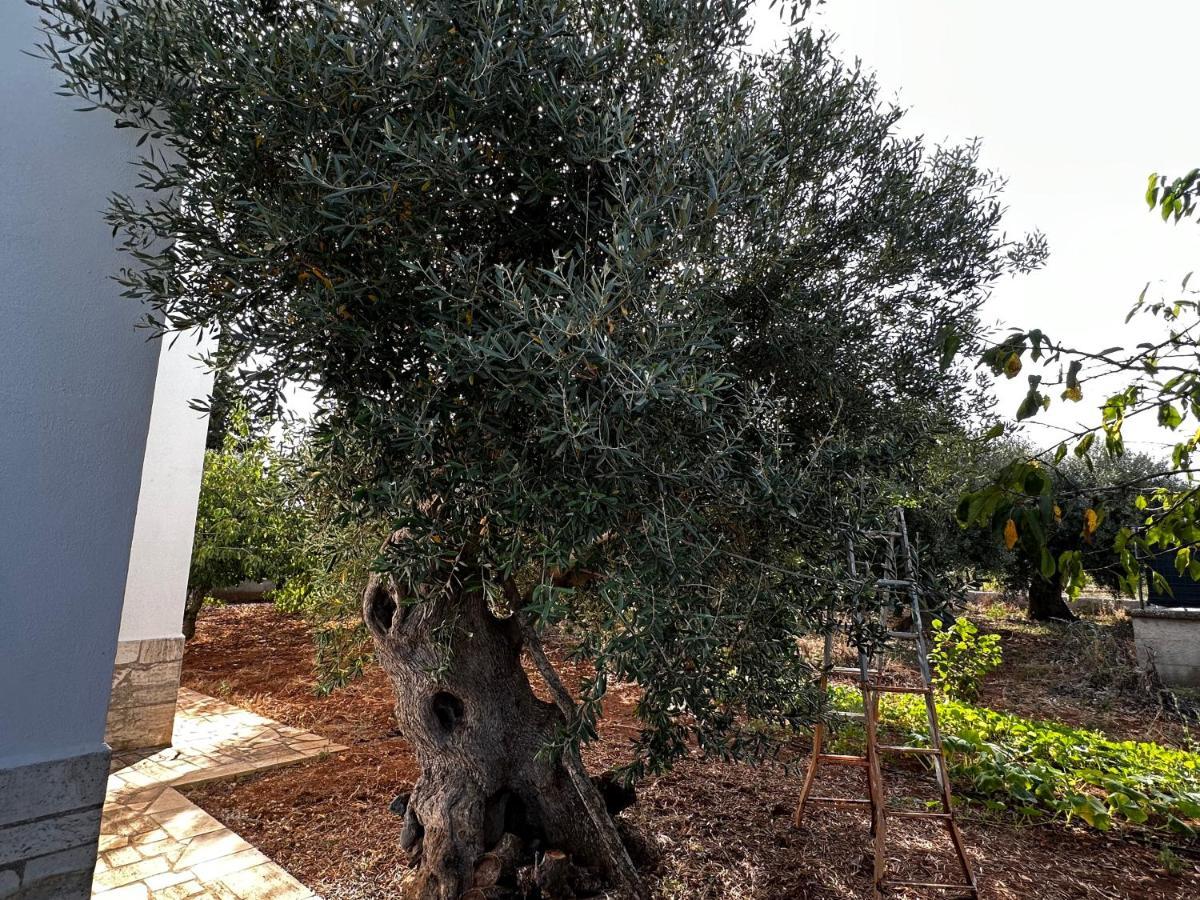 Ferienwohnung Casa Bianca Relax Castellana Grotte Exterior foto